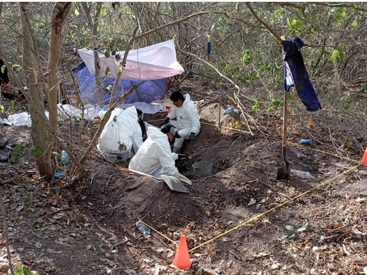 Veracruz, tercer lugar nacional en fosas clandestinas con cuerpos exhumados  – Diario Gráfico